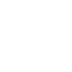 Logo Ardoi